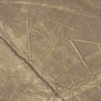 ligne de nasca arraignée