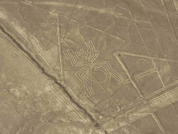 ligne de nasca arraignée