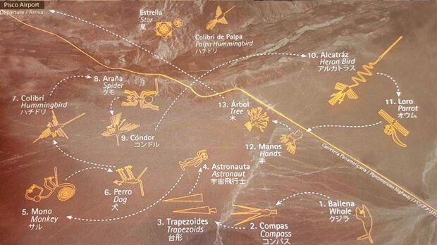 quelles figures voir survol nazca