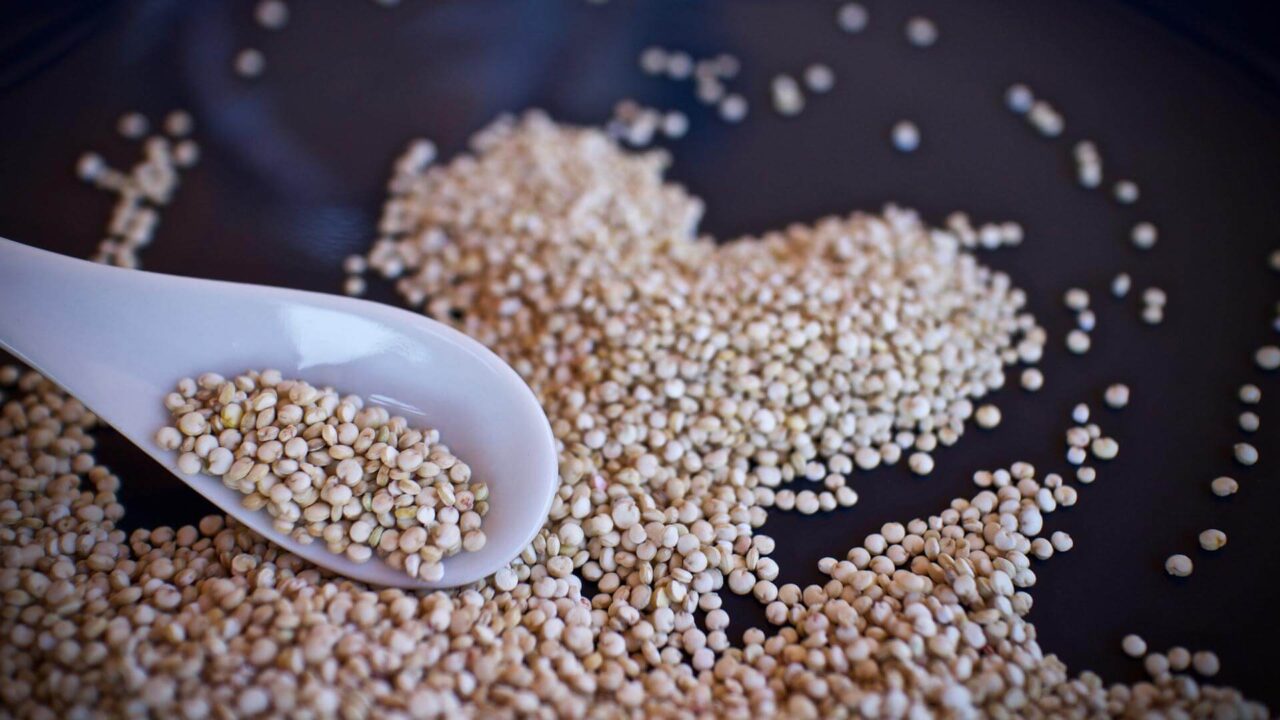 quinoa graine cuisine cuillère nourriture