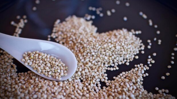 quinoa graine cuisine cuillère nourriture