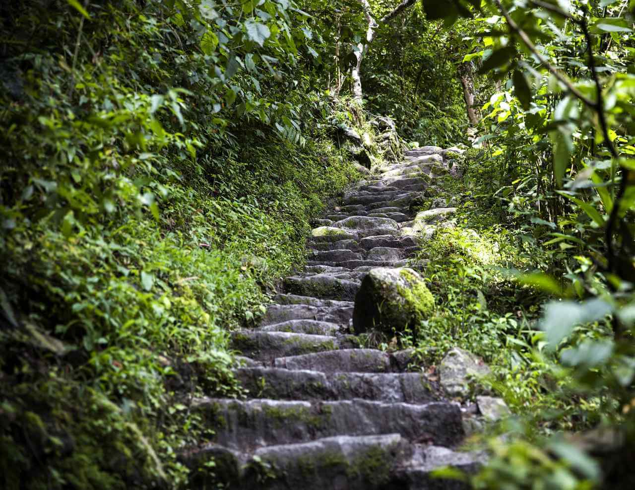 Escalier inca au Machu Picchu
