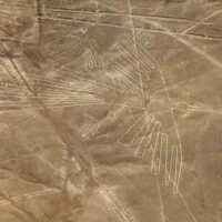 Lignes de Nazca en forme d'oiseau au Pérou