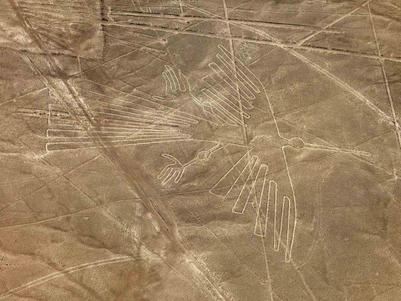 Lignes de Nazca en forme d'oiseau au Pérou