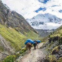 Trek à Salkantay avec porteurs