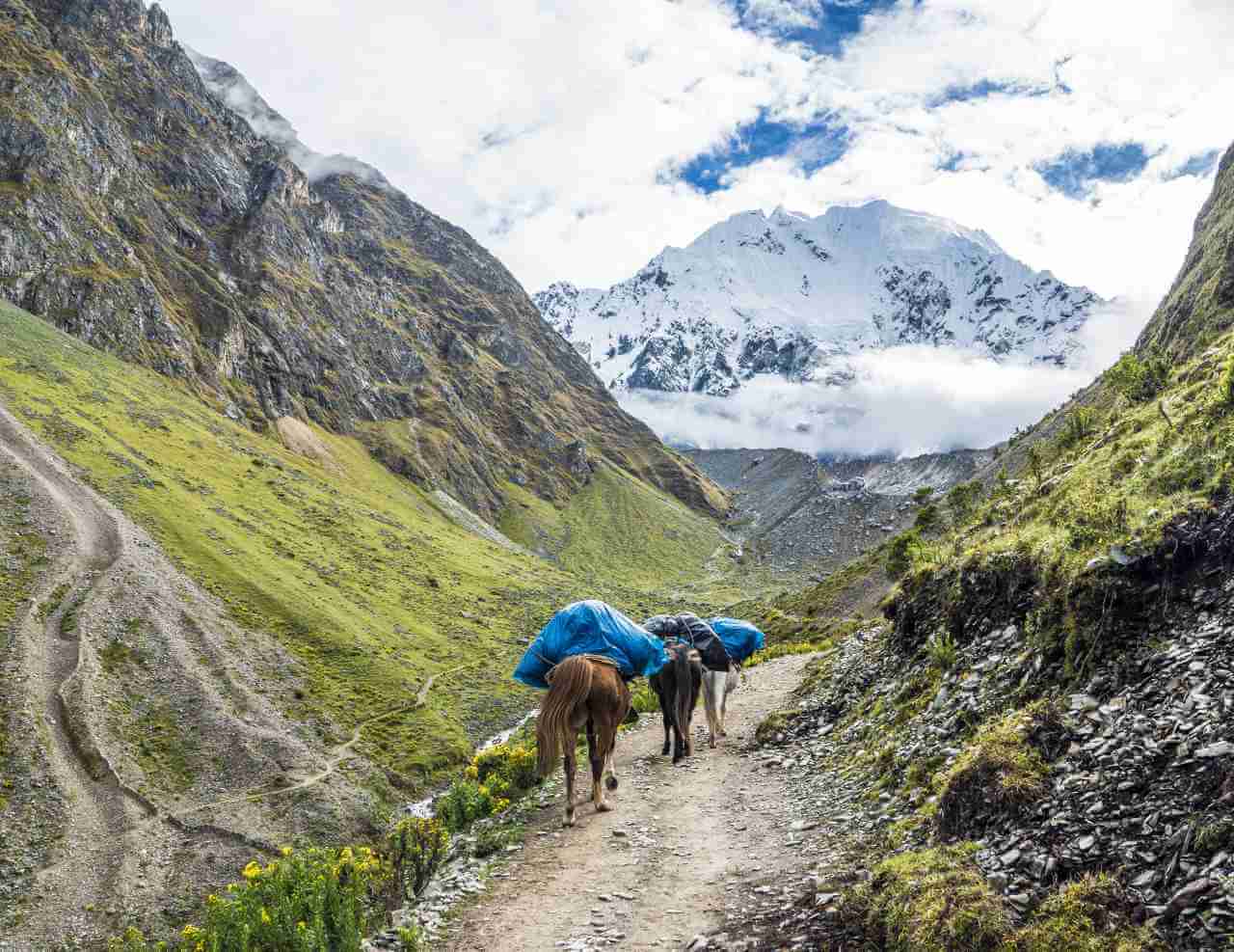 Trek à Salkantay avec porteurs