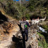 Randonnée dans la région de Lares au Pérou