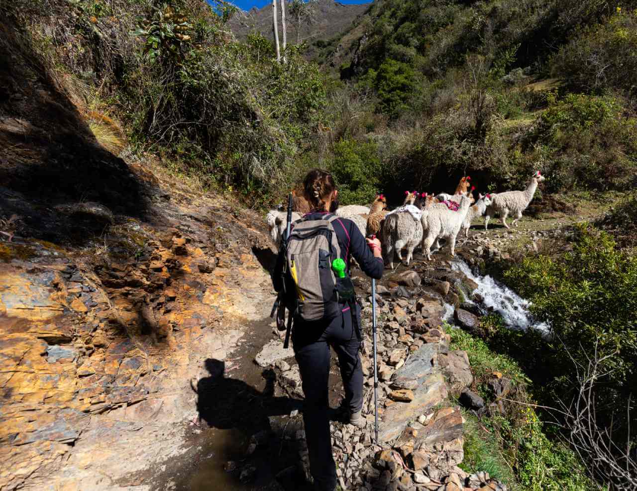 Randonnée dans la région de Lares au Pérou