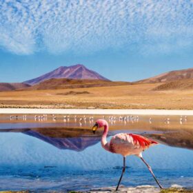 Découverte de la Réserve de Lipez Uyuni lors d'un voyage en Bolivie