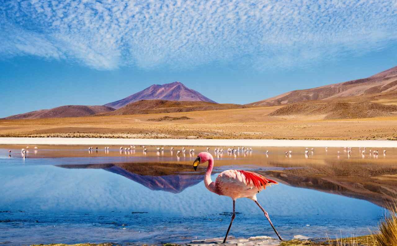 Pérou & Bolivie : osmose dans les Andes