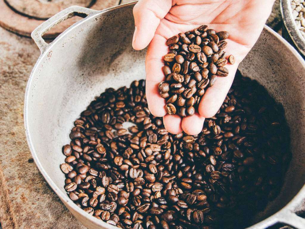 Production de café au Pérou